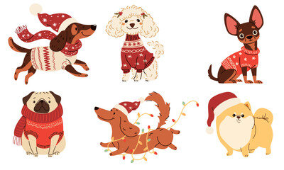 Fototapeta premium A set of vector illustrations in children's style on Christmas theme. Cute dogs in warm sweaters and scarves, Santa Claus hat and Christmas garland. Dachshund Pug Spitz Poodle Spaniel Chihuahua