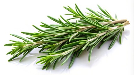 Fototapeta premium Fresh rosemary adds a distinctive pine-like flavor and aroma to dishes, enhancing meats, vegetables, and breads, making