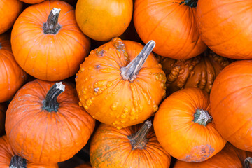 A pile of orange pumpkins at a farmers' market stall, showcasing fresh, organic produce for autumn