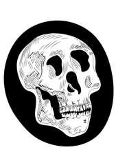 human skull vector graphic hand drawn