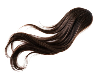 Long flowing dark brown hair with smooth strands isolated on a transparent background