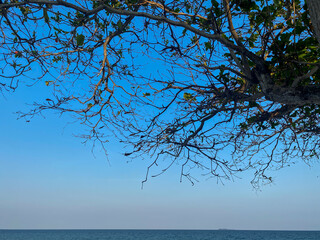 mountain sea sky It was a wonderful vacation.  beautiful sea in Thailand. top view beach with cloud and blue sky.