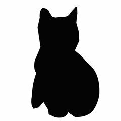 black cat on white background