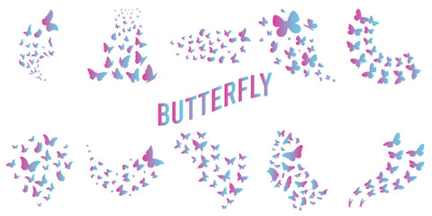 Butterfly Gradient