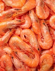 ランダムに折り重なる沢山のエビ縦