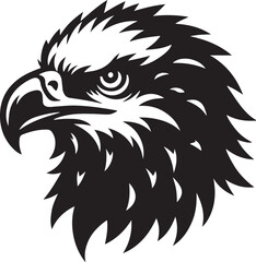 The eagle has a very angry expression on its head. The eyes are wide open and the beak is pointed