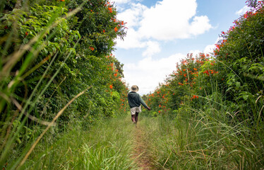 A young black woman walking on a footpath between flowery hedges 