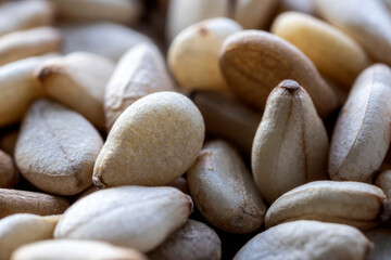 Obraz premium Various colored sesame seeds in a heap (Real photograph - no A.I.)