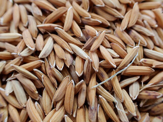 Top view of raw wholewheat rice. A close-up pile of organic Rice. Closeup organic mixed rice grain and rice texture for background.