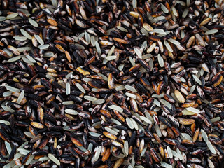 Top view of raw wholewheat rice. A close-up pile of organic Rice. Closeup organic mixed rice grain and rice texture for background.