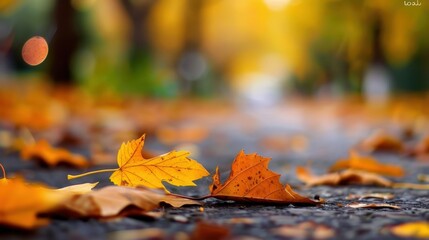 Fallen Autumn Leaves on a Pathway