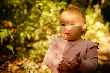 Toddler exploring a wooded path, playfully interacting with nature in autumn light during a sunny afternoon