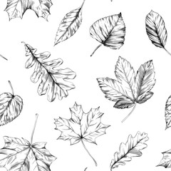 Seamless pattern with autumn leaves. Hand drawn illustration isolate on white.