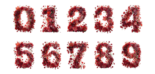 Creative number 0-9 concept made of red flowers. Flower font concept on transparent background