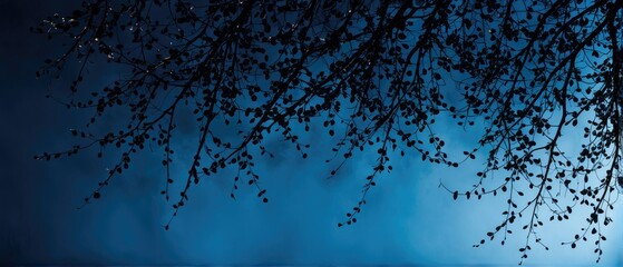 Silhouette of Tree Branches Against a Blue Sky