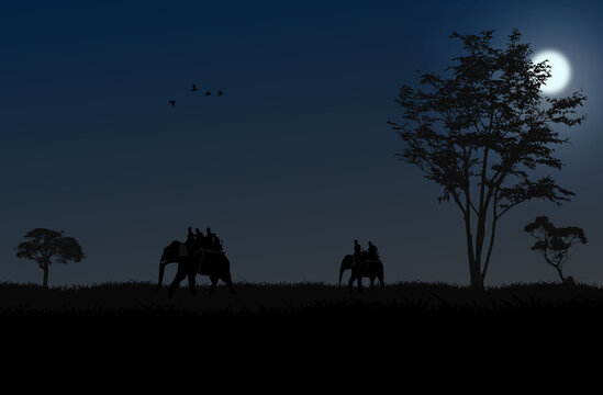 Elephant safari in forest night silhouette 