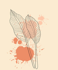 Leaf Illustration With a Beautiful Background