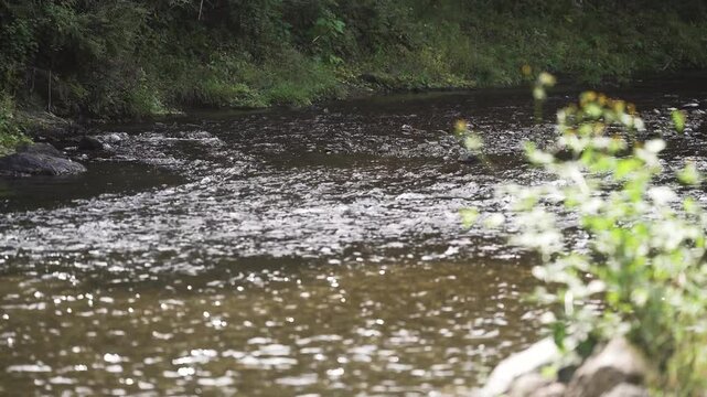 美しい清流、群馬県の神流川