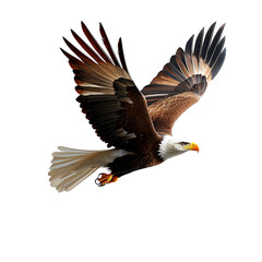 A majestic eagle in mid-flight, showcasing its magnificent wingspan and keen gaze, ideal for wildlife enthusiasts and nature lovers, symbolizing freedom and strength.
