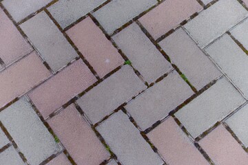 The close-up image shows a brick pavement. The bricks are arranged in the form of a Christmas tree, and each brick has its own color.