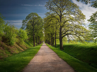Fototapeta premium path in the park