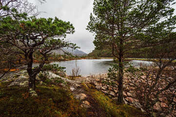 nature sceneries inside the Vesteralen Islands, Norway