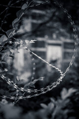 Vertical close-up of barbed wire arranged in a circular shape