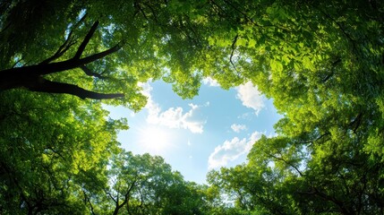 Fototapeta premium A panoramic view of a lush green forest, with a sense of peace and tranquility emanating from the surrounding nature.