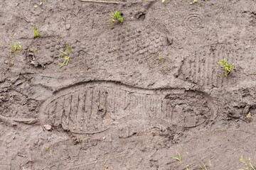 
a human shoe footprint in the mud