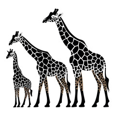Fototapeta premium giraffe illustration