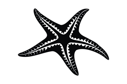 recommend clip art: starfish silhouette vector illustration
