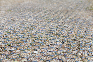 
textured wire mesh on the ground for growing grass