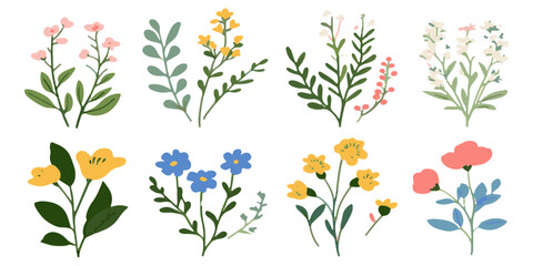 set of simple vector illustrations of wild flowers and leaves, on a white background