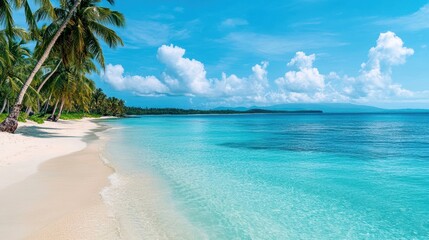 Serene tropical beach with clear turquoise water, soft white sand, and palm trees under a bright blue sky.