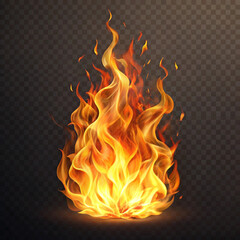 fire on black background
