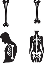 silhouette of clean vector bone isolated on white background	