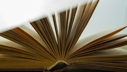 Open pages of an old book on a light background.