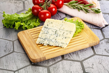 Gourmet blue cheese with mold