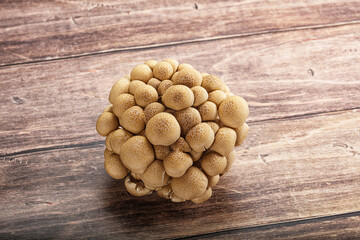 Raw asiam delicacy mushroom Shimeji