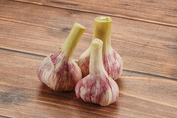 Young garlic heap for cooking
