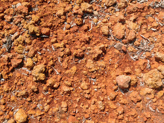 Texture layers of earth. The curb erosion from storms. To indicate the layers of soil and rock.