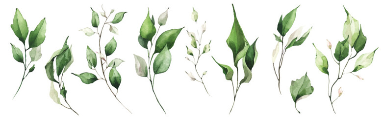 Watercolor floral set of green leaves, greenery, branches, twigs etc. Vector Watercolour clipart drawing