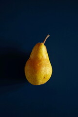 Single whole ripe yellow pear with stem, isolated on dark blue background. Top down flat view, no people, close up shot