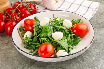 Salad with mozzarella and arugula