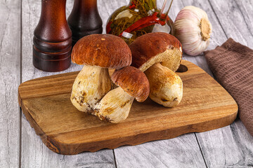 Raw natural wild porchini mushrooms