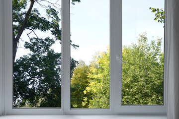 View from the window on the garden green trees .