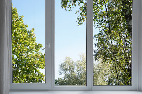 Fototapeta View from the window on the garden green trees .