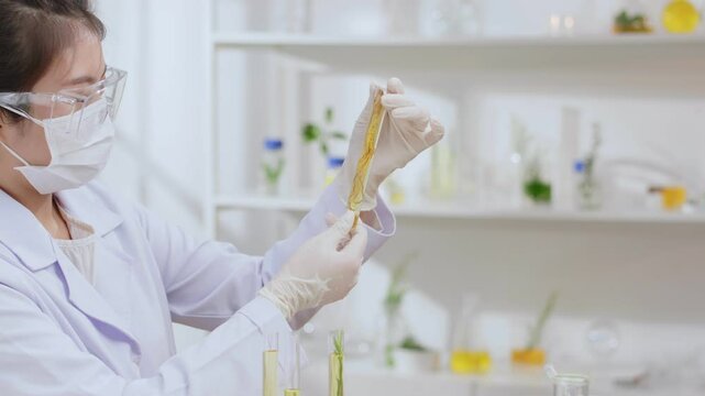 Experiment theme video from side view shot. Young asian researcher is holding a test tube and analyzing a piece of ginseng being soaked in it. High quality, commercial footage