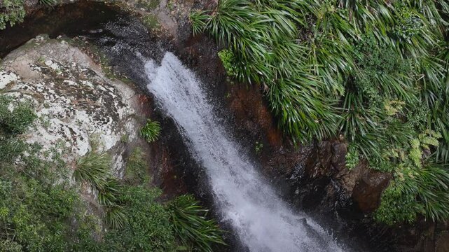 Waterfall in Binna Burra Rainforest