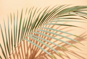 Obraz premium A close-up image of a single, light green palm leaf with long, thin, and curved leaves casts a shadow on a peach-colored background, creating a serene and tranquil scene